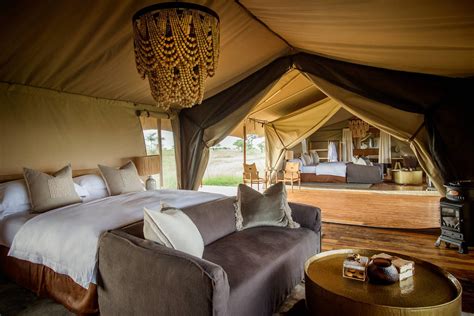 Lodges in Serengeti — Birdie Safari