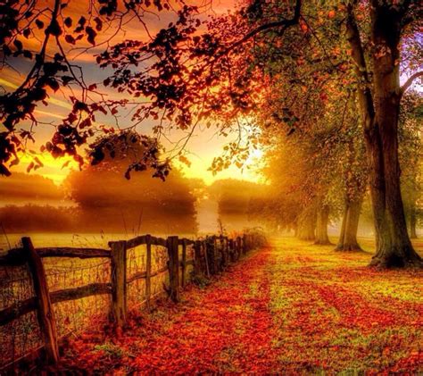 🔥 [50+] Fall Country Scenes Wallpapers | WallpaperSafari