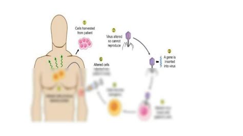 SOLUTION: Human gene therapy complete presentation article data - Studypool