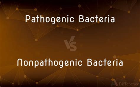 Pathogenic Bacteria vs. Nonpathogenic Bacteria — What’s the Difference?