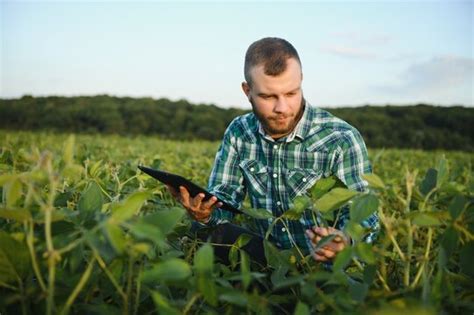 "Agricultural Engineering" Images – Browse 7,533 Stock Photos, Vectors ...