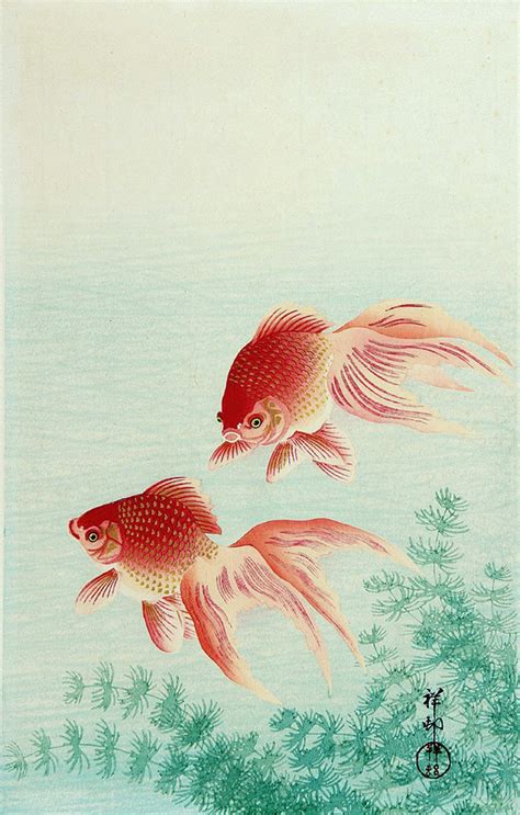 Japanese Art, Fish Paintings, Goldfish Ohara Koson FINE ART PRINT ...