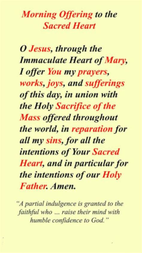 Morning Offering to the Sacred Heart of Jesus Christ LAMINATED Holy ...