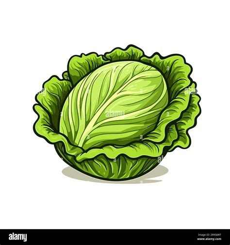 Dibujo De Lechuga