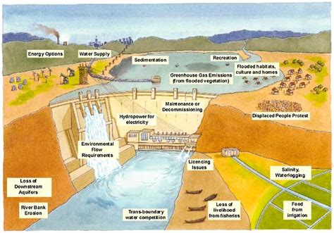 Environmental Impacts of Dams