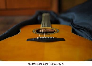 147 Soft Guitar Case Images, Stock Photos & Vectors | Shutterstock