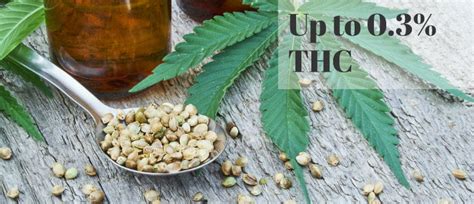 Hemp vs. Marijuana: What is the Difference? - 10Buds