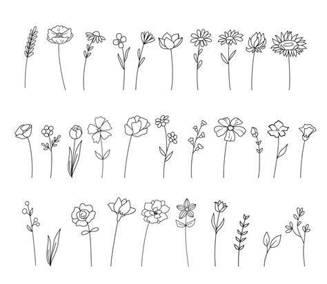 Wildflowers and flowers thin line collection, hand drawing. Set of ...