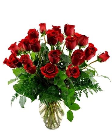 Two Dozen Red Roses from America's Florist & Gifts