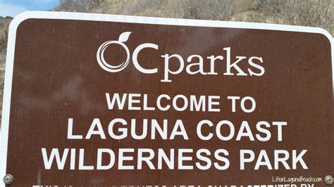 Life in Laguna Beach Hiking Trails Laguna Beach California