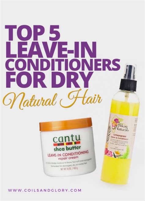 Top 5 Leave-In Conditioner for Dry Natural Hair - Coils & Glory