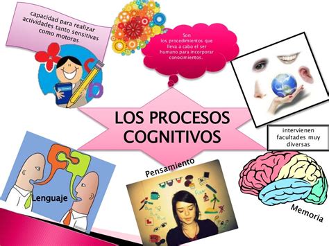 Procesos cognitivos