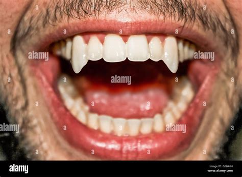 Vampire teeth hi-res stock photography and images - Alamy