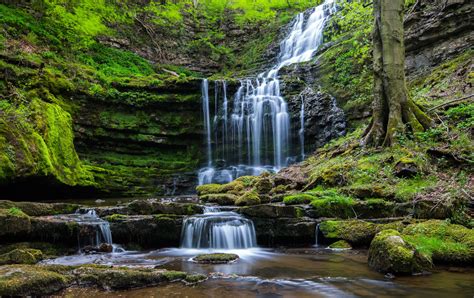 Waterfalls and moss, waterfall, nature, forest HD wallpaper | Wallpaper ...