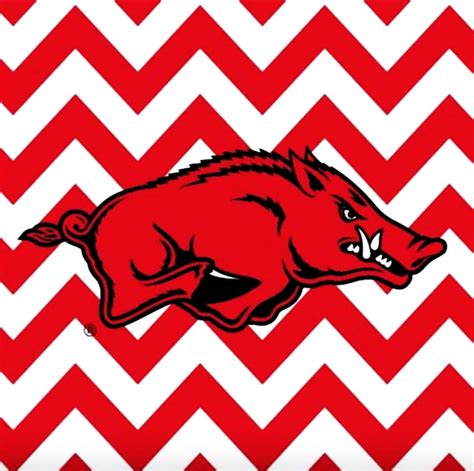 [100+] Arkansas Razorbacks Wallpapers | Wallpapers.com