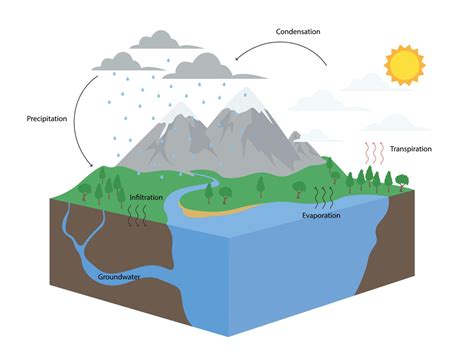 Diagram of Water Cycle in nature illustration 10935315 Vector Art at ...