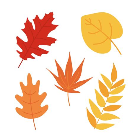 Autumn leaves set isolated on white background. Simple cartoon flat ...