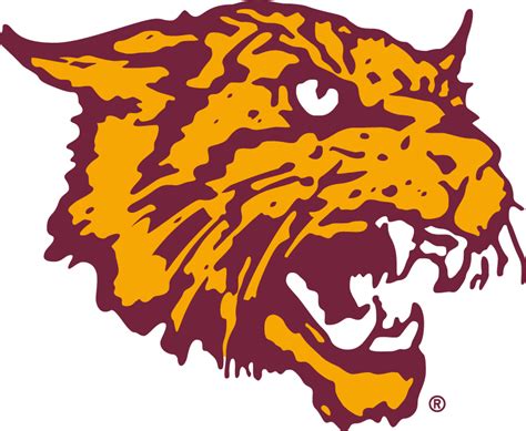 Bethune-Cookman Wildcats Logo - Alternate Logo - NCAA Division I (a-c ...