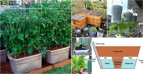 15 DIY Self Watering Planters That Make Container Gardening Easy - DIY ...