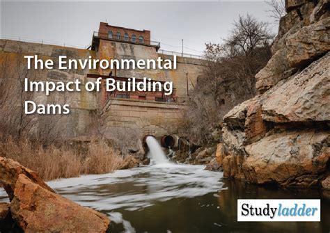 The Environmental Impact Of Building Dams (5_slides) - Studyladder ...