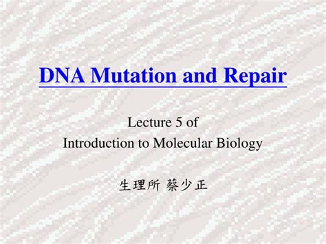 PPT - DNA Mutation and Repair PowerPoint Presentation, free download ...