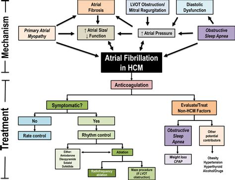 New Onset Afib Treatment - Captions Beautiful