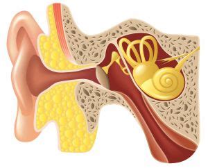 In Your Ear Crystals Symptoms