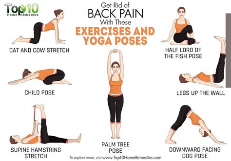 Get Rid of Back Pain with These Exercises and Yoga Poses | Top 10 Home ...