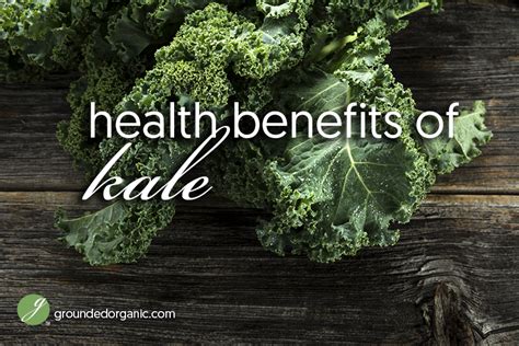 Health Benefits of Kale - Grounded Organic