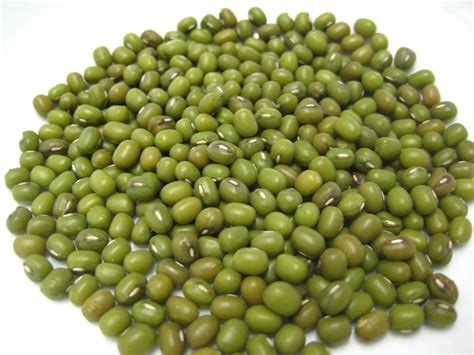 Mung Beans & Sprouts Nutrition, Calories & Mung Beans Health Benefits