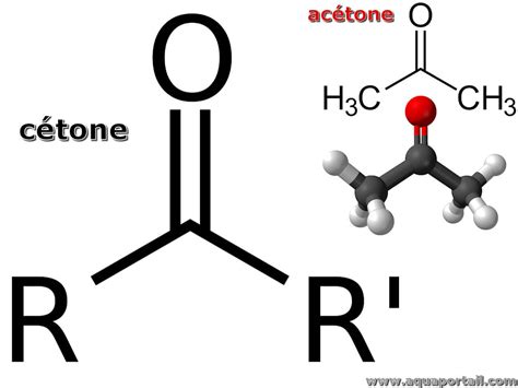 Cétone : définition et explications – AquaPortail
