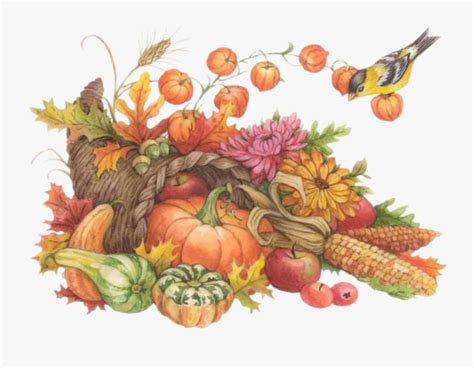 Clip Art Thanksgiving Harvest Png , Free Transparent Clipart - ClipartKey