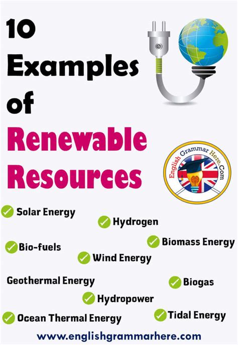 Renewable Resources, 10 Examples of Renewable Resources - English ...