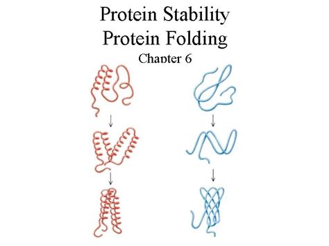 Protein Stability Protein Folding Chapter 6 Protein Stability