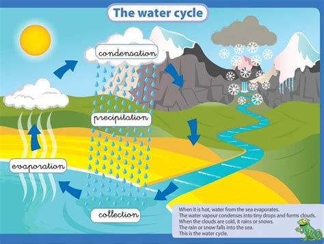 Water Cycle Animation