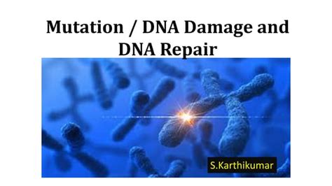 Mutation and DNA repair.pdf