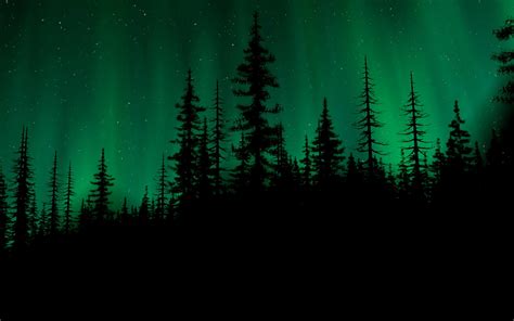 Dark Forest Background (80+ pictures) - WallpaperSet