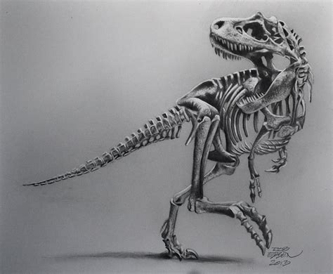 T Rex Skeleton Drawing