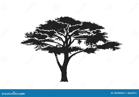 Acacia Tree Silhouette. Australian And African Tree Cartoon Vector ...