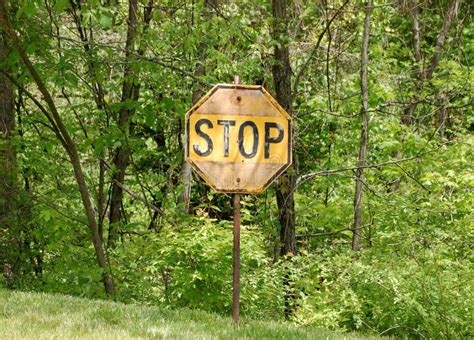 Yellow Stop Sign-1 stock photo. Image of trees, outdoors - 33215866