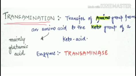 Pharma tutorial ( Basic concept of transamination) - YouTube