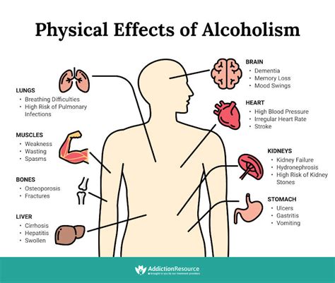 Effects Of Alcohol On The Body: Short and Long Term Reactions