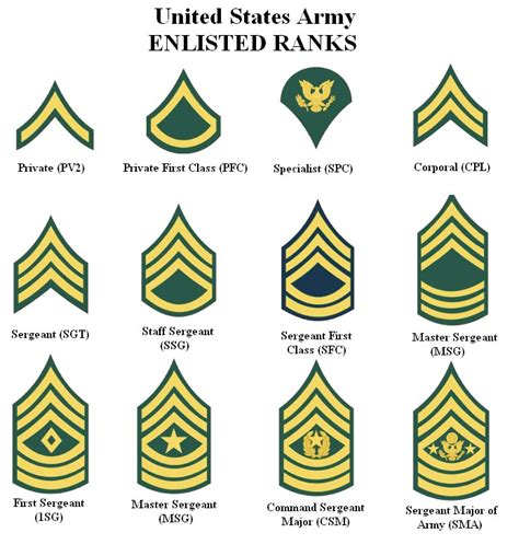 Us Army Ranks Military Center