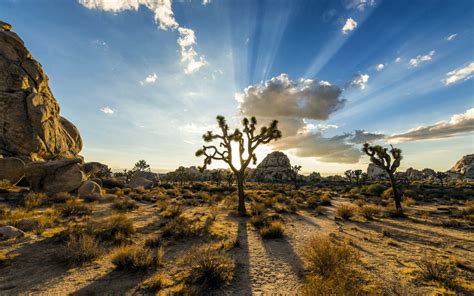 Joshua Tree National Park Wallpapers - Wallpaper Cave