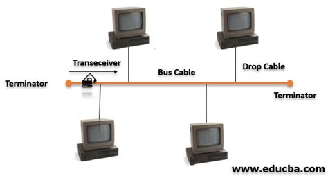 Bus Network Topology | Top Components, Advantages & Disadvantages