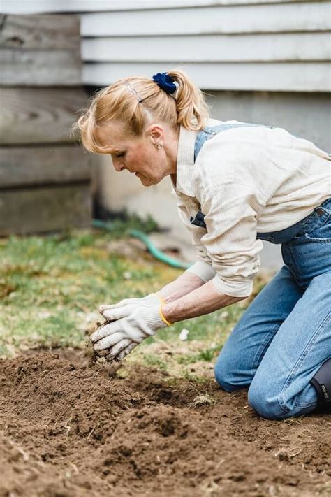 The Scoop on Poop: Is Dog Poop Good Fertilizer?