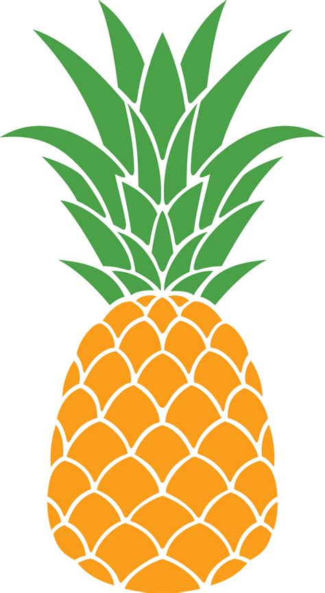 Pineapple Fruit Color 12637165 PNG