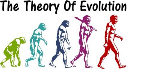 My Problems With the Theory of Evolution - HubPages