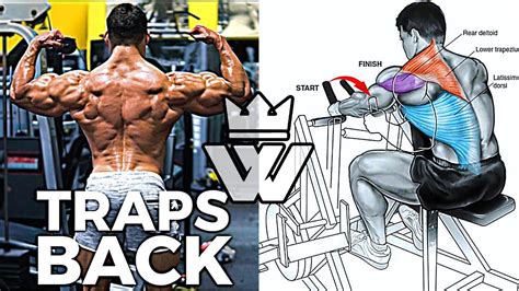 Traps Muscle Workout | EOUA Blog