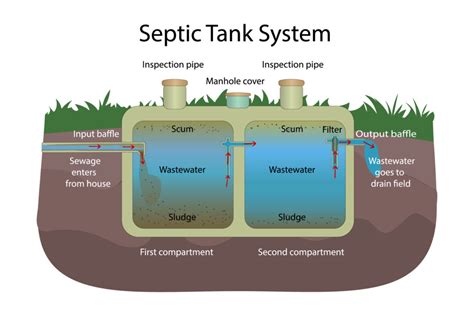 what is septic design - Lauri Taggart